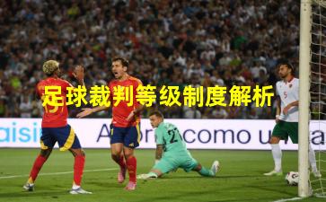 足球裁判等级制度解析