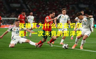 张琳芃为什么没去切尔西:一次未竟的留洋梦