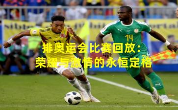 排奥运会比赛回放:荣耀与激情的永恒定格