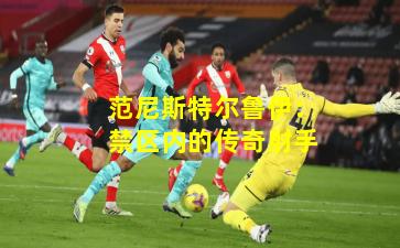 范尼斯特尔鲁伊：禁区内的传奇射手