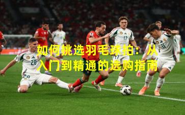 如何挑选羽毛球拍：从入门到精通的选购指南